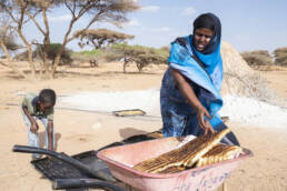 Somaliland, FMNR, World Vision, NGO, Agriculture,